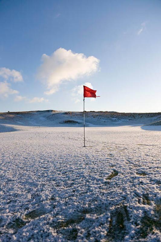 Fitness is not Seasonal